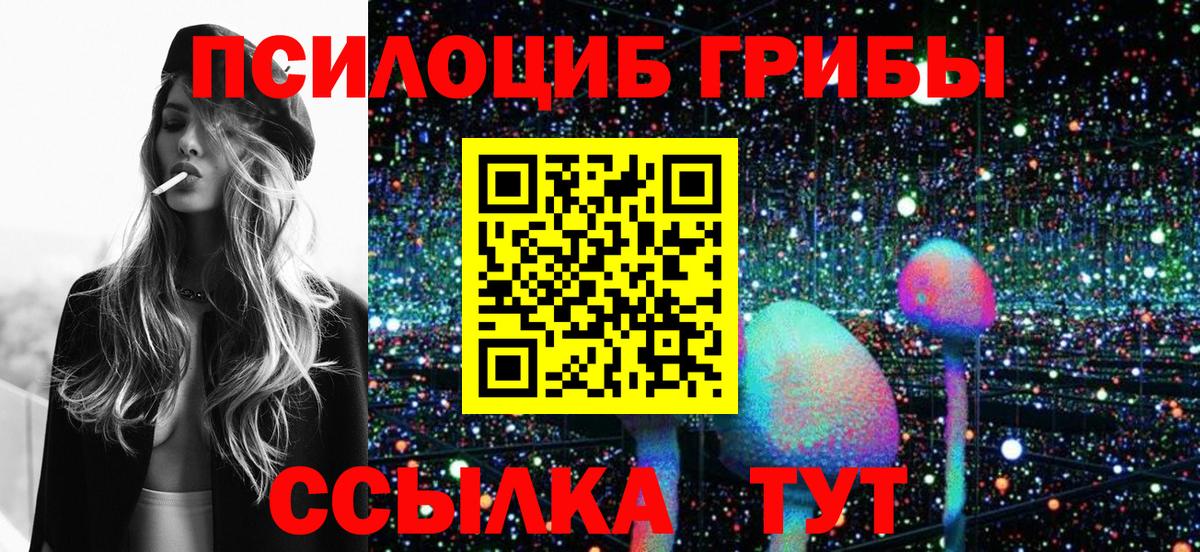 купить наркотики сайты  Вход с VPN  Ачинск  Галлюциногенные грибы Magic Shrooms 