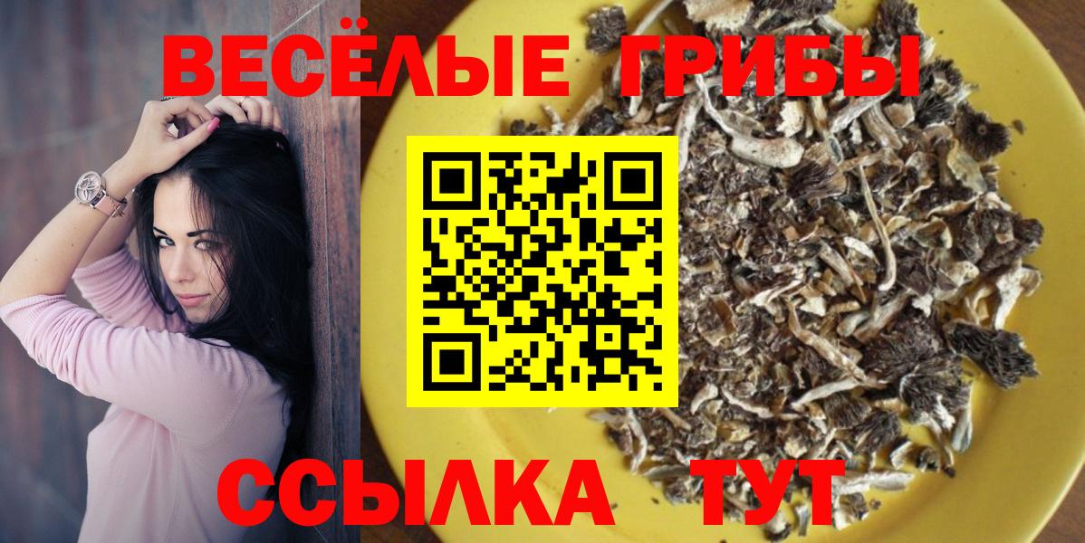 Псилоцибиновые грибы Psilocybine cubensis Ачинск